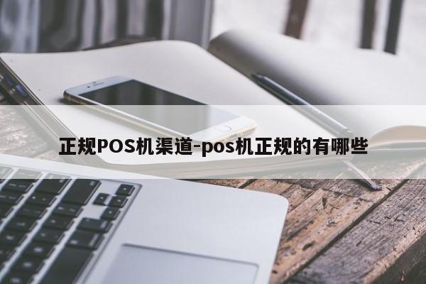 红寺堡正规POS机渠道-pos机正规的有哪些